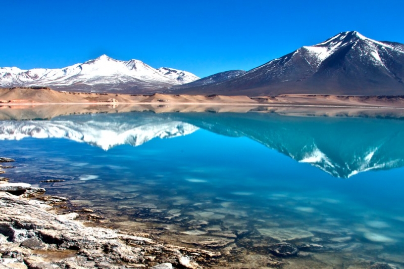 Lagunas altoandinas con flamencos